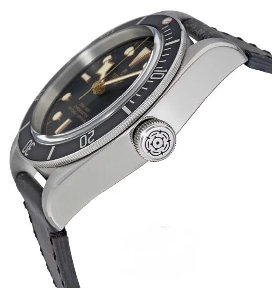 Tudor BLACK BAY M79230N-0008 Replica Watch